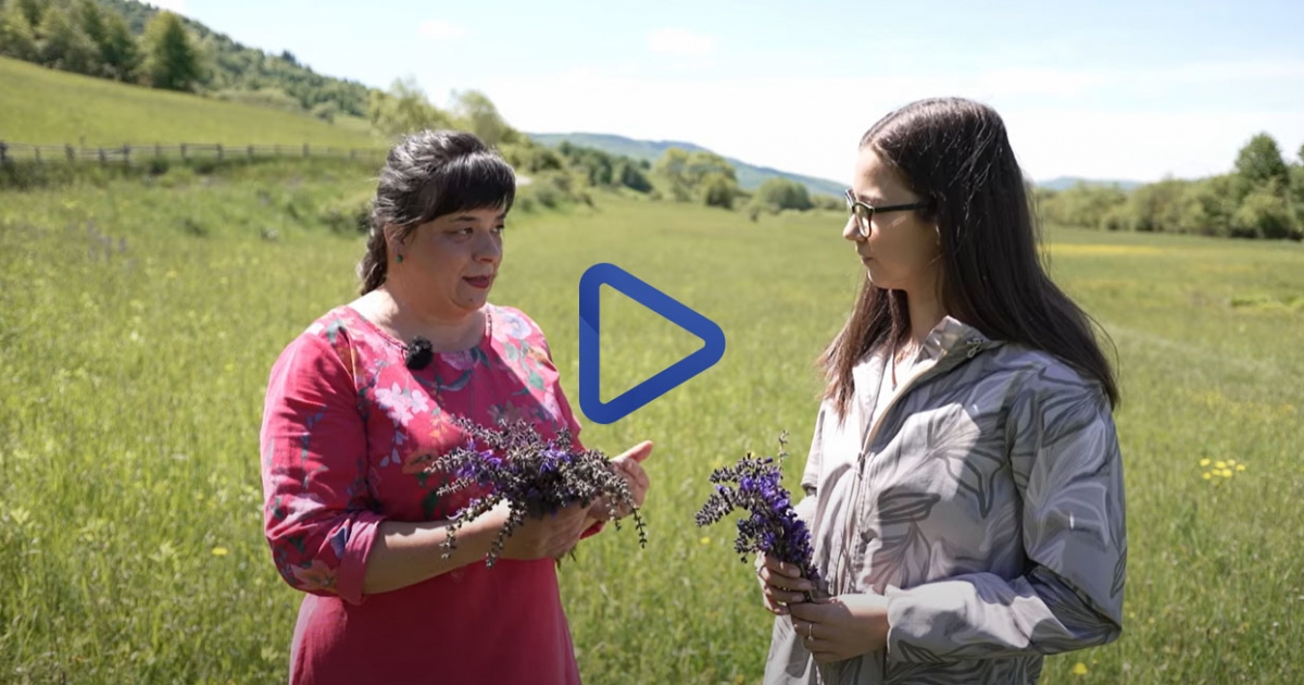 Zetelakán, Gáspár Hajnal füvesasszonynál jártunk